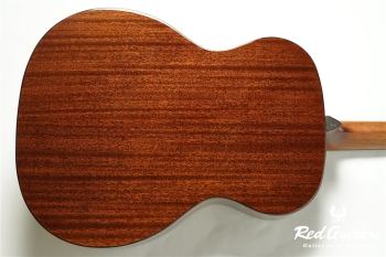 one.E [Dual Pickup Model]